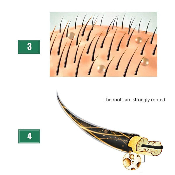 51MT6jZrLNL._SL1001_.jpg