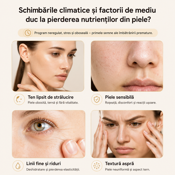 Set Revitalizant cu Mucină de Melc